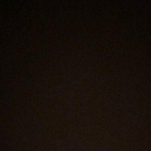 Meet your Posher, Maddy